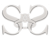 Guangzhou Shining Star Jewelry Limited